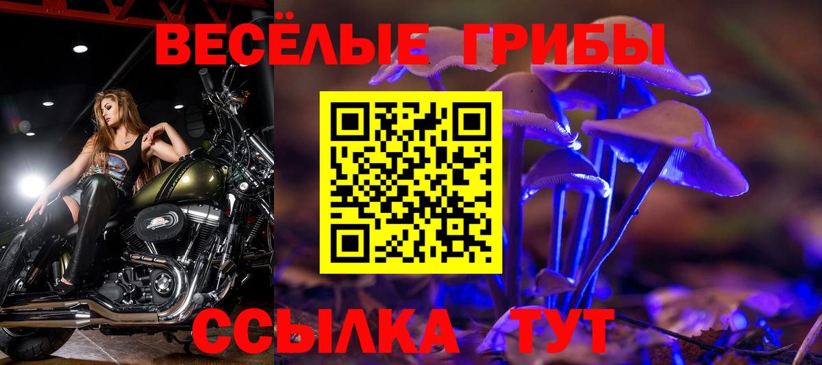 Псилоцибиновые грибы прущие грибы Острогожск