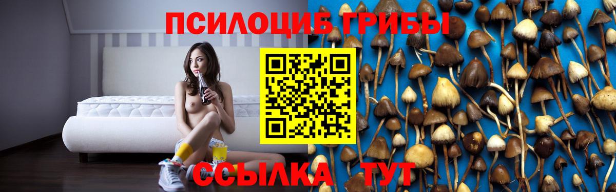 Псилоцибиновые грибы прущие грибы  Вход с VPN  Острогожск 